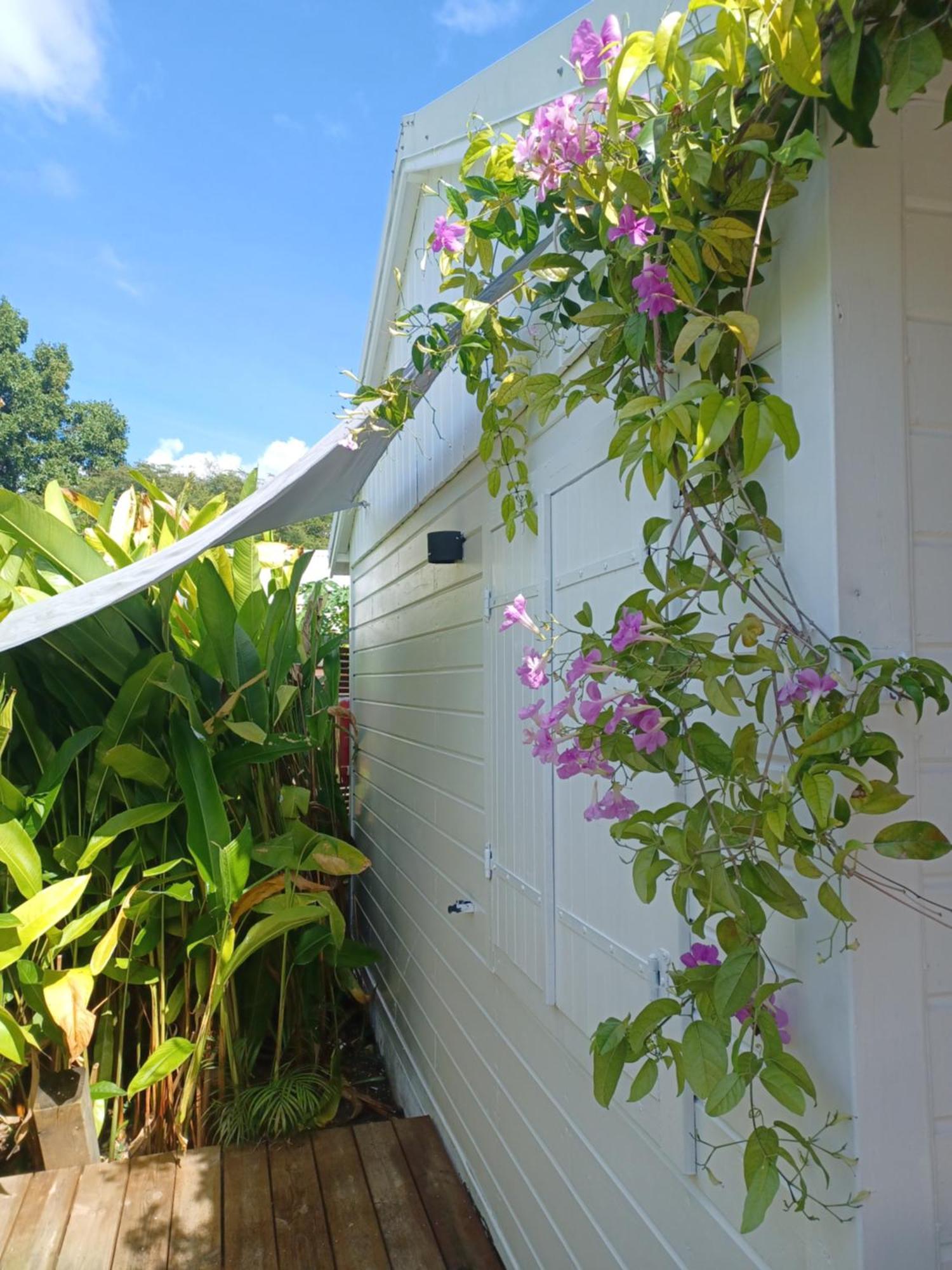 Charmant Bungalow Coco Sainte-Anne  Exterior photo